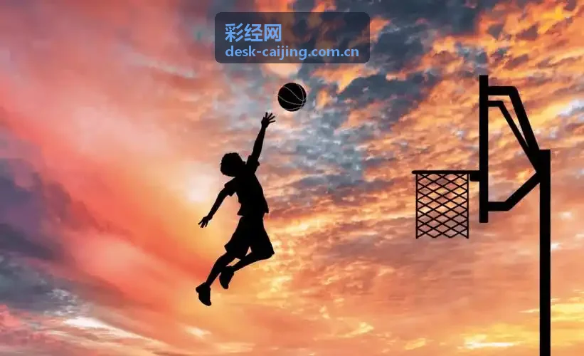 彩经网数据走势分析可视化图表