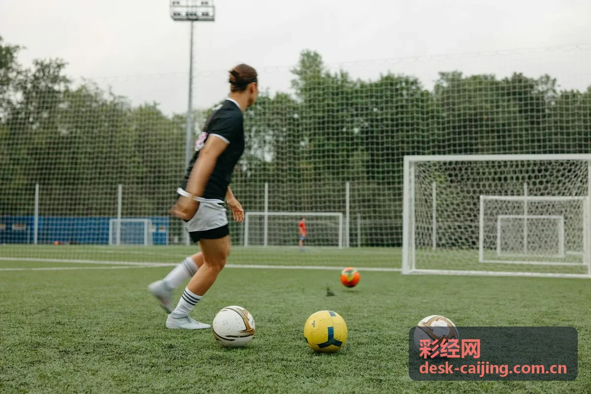 彩经网投注策略教程合集